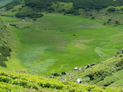 Foto mirabilele meandre de sub saua Gargalau (c) Petru Goja